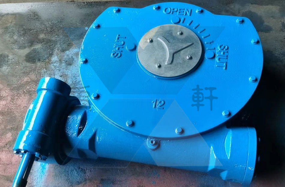 QDX3-S12双级驱动黄瓜社区网页版通过检验发往连云港某石化厂(图1)