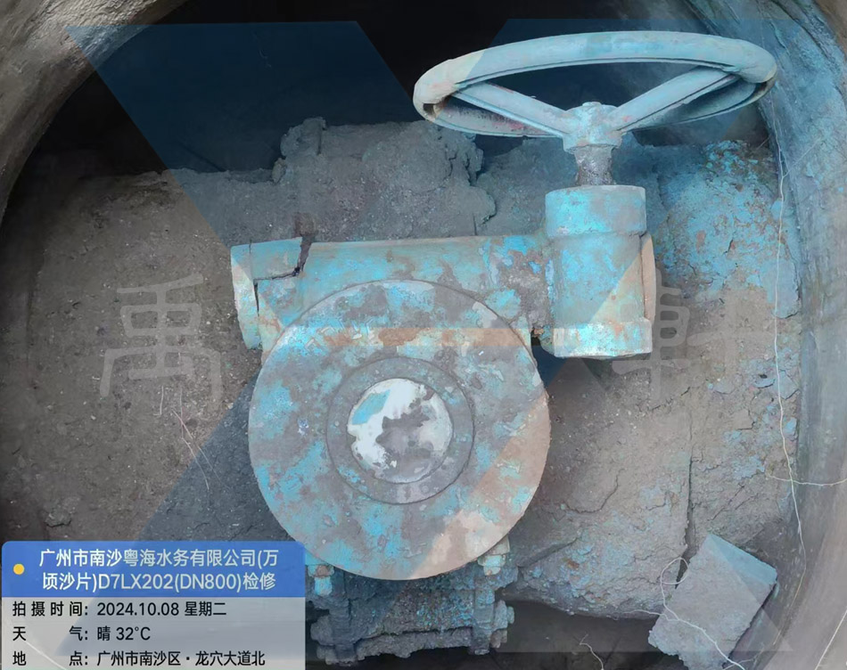 广州市南沙粤海水务DN800蝶阀检修更换QDX3-G8手动黄瓜社区网页版(图1)